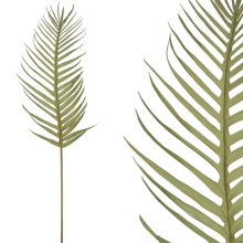 Φύλλα - Φτερά 