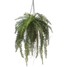 Πρασινάδες - Κρεμαστά Φυτά