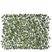 Πέργκολες - Διαχωριστικά