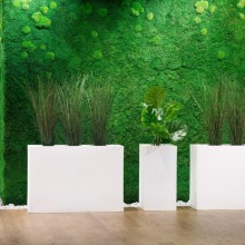 Εξωτερικού Χώρου