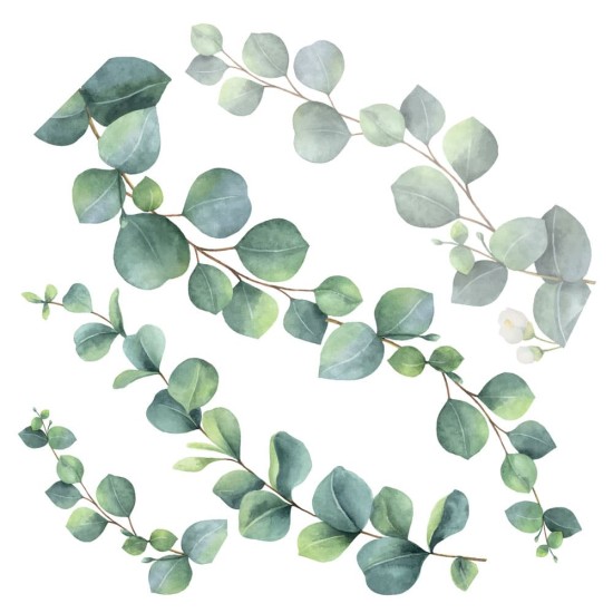 Eucalyptus αυτοκόλλητα τοίχου βινυλίου (54120)