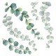Eucalyptus αυτοκόλλητα τοίχου βινυλίου (54120)