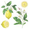 Lemons αυτοκόλλητα τοίχου βινυλίου (54122)