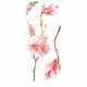 Magnolia αυτοκόλλητα τοίχου βινυλίου (59155)