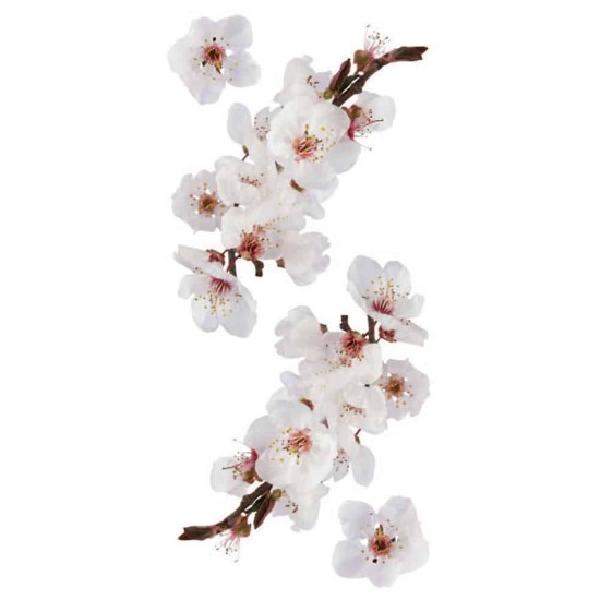 Photographic Blossom αυτοκόλλητα τοίχου βινυλίου (59389) Photographic Blossom αυτοκόλλητα τοίχου βινυλίου (59389)
