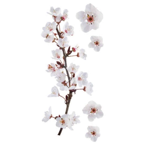 Photographic Blossom αυτοκόλλητα τοίχου βινυλίου (59389) Photographic Blossom αυτοκόλλητα τοίχου βινυλίου (59389)
