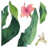 Tropical Flowers αυτοκόλλητα βινυλίου για τζάμι (64017)