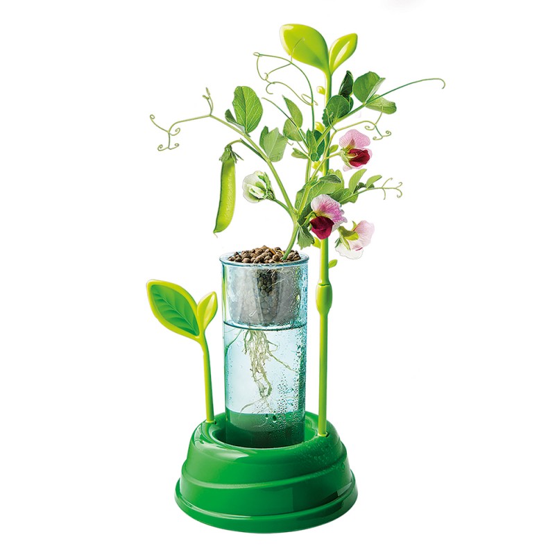 Μαθαίνω Και Δημιουργώ Lab Εκπαιδευτικό Παιχνίδι Ο Κήπος Μου Για 8+ Χρονών