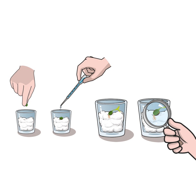 Μαθαίνω Και Δημιουργώ Lab Εκπαιδευτικό Παιχνίδι Ο Κήπος Μου Για 8+ Χρονών