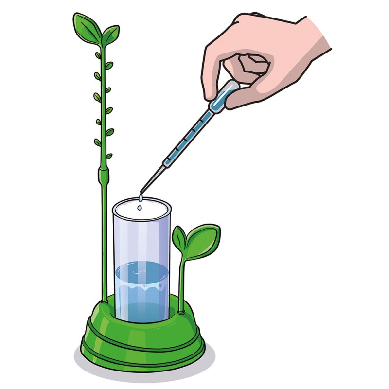 Μαθαίνω Και Δημιουργώ Lab Εκπαιδευτικό Παιχνίδι Ο Κήπος Μου Για 8+ Χρονών