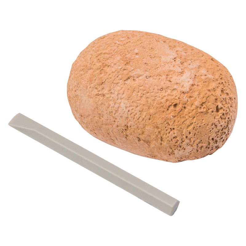 AS Σκαπτικό Αυγό Δεινοσαύρου Για 6+ Χρονών