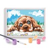 Paint & Frame Ζωγραφίζω Με Αριθμούς Loving Puppy Για Ηλικίες 9+ Χρονών