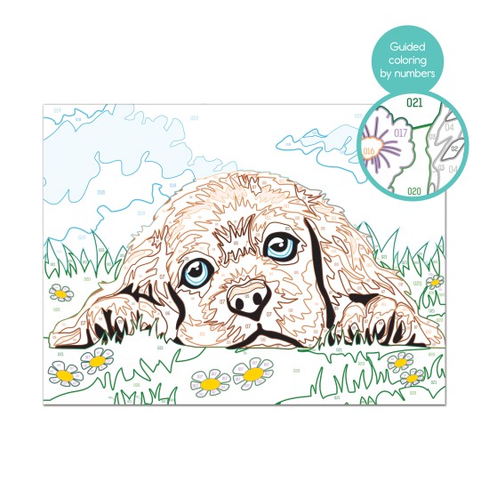 Paint & Frame Ζωγραφίζω Με Αριθμούς Loving Puppy Για Ηλικίες 9+ Χρονών Paint & Frame Ζωγραφίζω Με Αριθμούς Loving Puppy Για Ηλικίες 9+ Χρονών