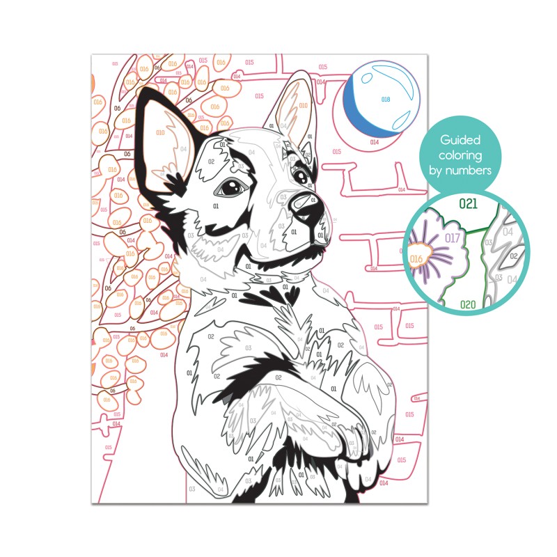 Paint & Frame Ζωγραφίζω Με Αριθμούς Playful Husky Για Ηλικίες 9+ Χρονών