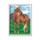 Paint & Frame Ζωγραφίζω Με Αριθμούς Wild Horse Για Ηλικίες 9+ Χρονών Paint & Frame Ζωγραφίζω Με Αριθμούς Wild Horse Για Ηλικίες 9+ Χρονών