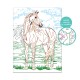 Paint & Frame Ζωγραφίζω Με Αριθμούς Wild Horse Για Ηλικίες 9+ Χρονών Paint & Frame Ζωγραφίζω Με Αριθμούς Wild Horse Για Ηλικίες 9+ Χρονών