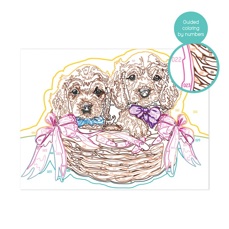 Paint & Frame Ζωγραφίζω Με Αριθμούς Αdorable Puppies Για Ηλικίες 9+ Χρονών