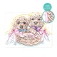 Paint & Frame Ζωγραφίζω Με Αριθμούς Αdorable Puppies Για Ηλικίες 9+ Χρονών Paint & Frame Ζωγραφίζω Με Αριθμούς Αdorable Puppies Για Ηλικίες 9+ Χρονών