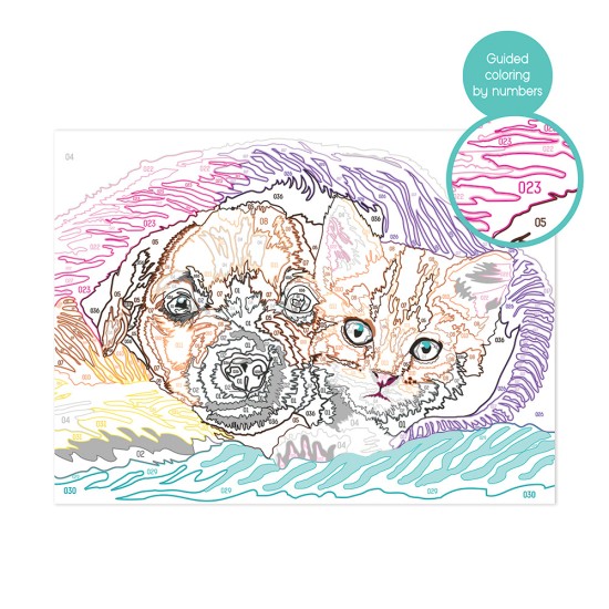 Paint & Frame Ζωγραφίζω Με Αριθμούς Sweet Friendship Για Ηλικίες 9+ Χρονών Paint & Frame Ζωγραφίζω Με Αριθμούς Sweet Friendship Για Ηλικίες 9+ Χρονών
