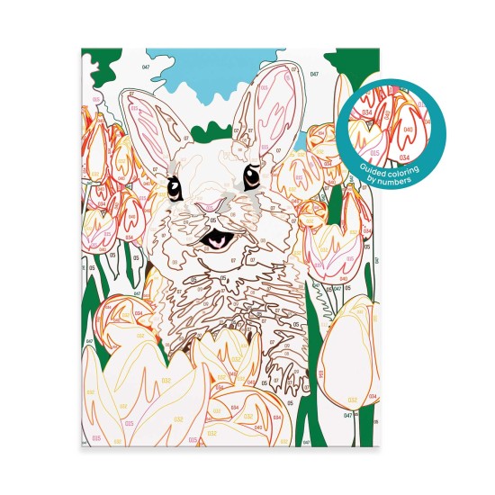HappiHobbi Paint & Frame Paint by Numbers Cheerful Bunny Για Ηλικίες 8+ Χρονών HappiHobbi Paint & Frame Paint by Numbers Cheerful Bunny Για Ηλικίες 8+ Χρονών