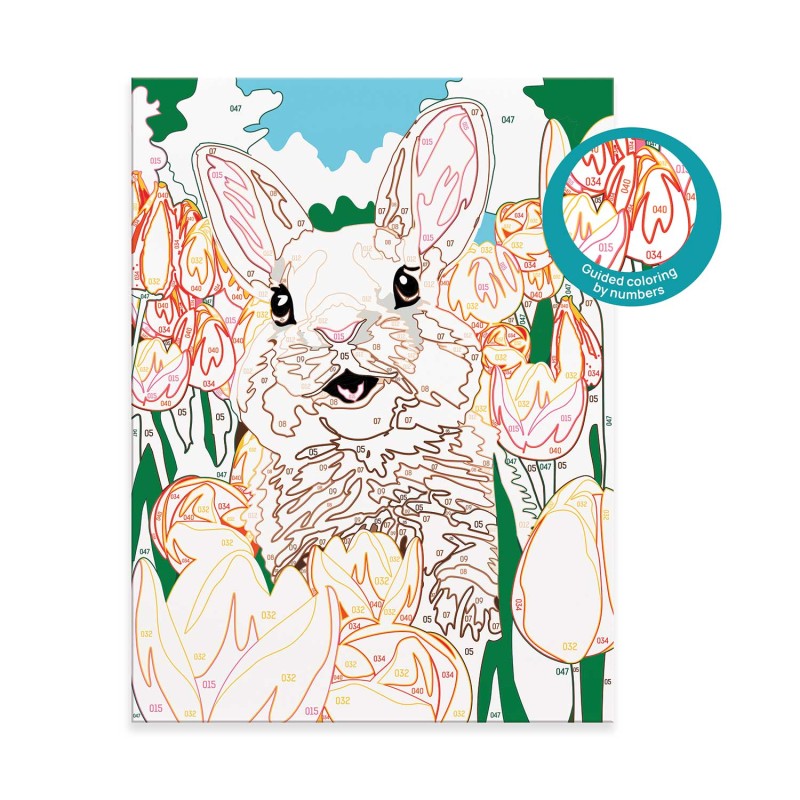 HappiHobbi Paint & Frame Paint by Numbers Cheerful Bunny Για Ηλικίες 8+ Χρονών