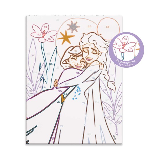 HappiHobbi Paint & Frame Paint by Numbers Disney Frozen Για Ηλικίες 6+ Χρονών HappiHobbi Paint & Frame Paint by Numbers Disney Frozen Για Ηλικίες 6+ Χρονών