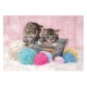 Clementoni Παιδικό Παζλ Super Color Sweet Kittens 104 τμχ Clementoni Παιδικό Παζλ Super Color Sweet Kittens 104 τμχ