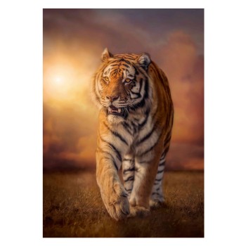 Clementoni Παζλ High Quality Collection Τίγρης 1500 τμχ