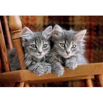 Clementoni Παζλ High Quality Collection Γατάκια 500 τμχ - Compact Box