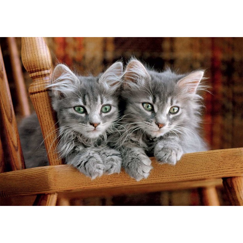 Clementoni Παζλ High Quality Collection Γατάκια 500 τμχ - Compact Box