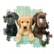 Clementoni Παζλ High Quality Collection Κουταβάκια Λαμπραντόρ 1000 τμχ Clementoni Παζλ High Quality Collection Κουταβάκια Λαμπραντόρ 1000 τμχ