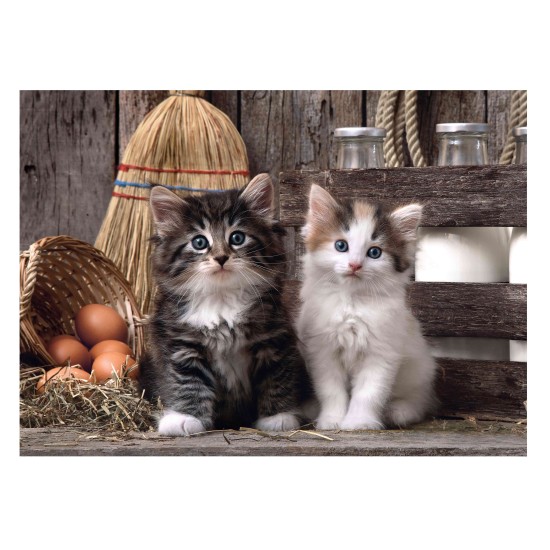 Clementoni Παζλ High Quality Collection Χαριτωμένες Γατούλες 1000 τμχ Clementoni Παζλ High Quality Collection Χαριτωμένες Γατούλες 1000 τμχ