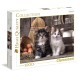 Clementoni Παζλ High Quality Collection Χαριτωμένες Γατούλες 1000 τμχ Clementoni Παζλ High Quality Collection Χαριτωμένες Γατούλες 1000 τμχ