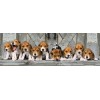 Clementoni Παζλ Panorama High Quality Collection Σκυλάκια Beagles 1000 τμχ