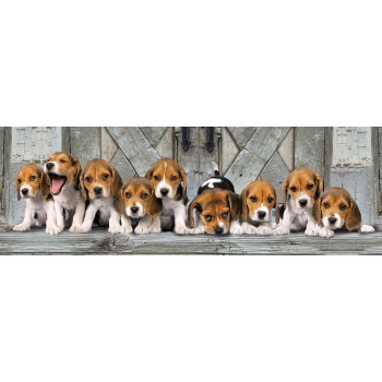 Clementoni Παζλ Panorama High Quality Collection Σκυλάκια Beagles 1000 τμχ