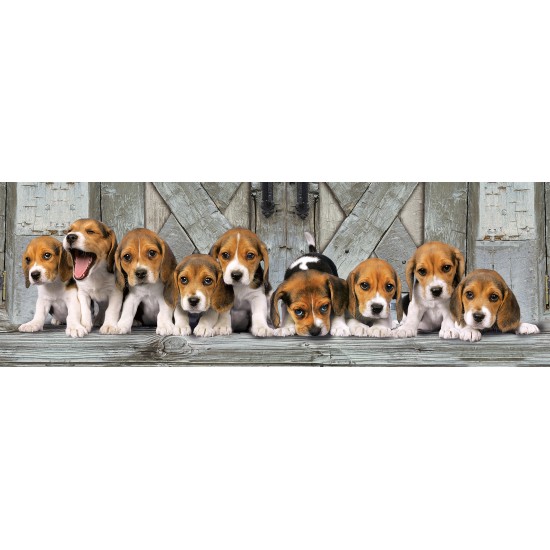 Clementoni Παζλ Panorama High Quality Collection Σκυλάκια Beagles 1000 τμχ