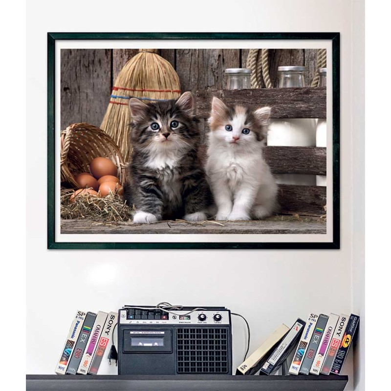 Clementoni Παζλ High Quality Collection Χαριτωμένες Γατούλες 1000 τμχ - Compact Box