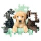 Clementoni Παζλ High Quality Collection Κουταβάκια Λαμπραντόρ 1000 τμχ - Compact Box Clementoni Παζλ High Quality Collection Κουταβάκια Λαμπραντόρ 1000 τμχ - Compact Box