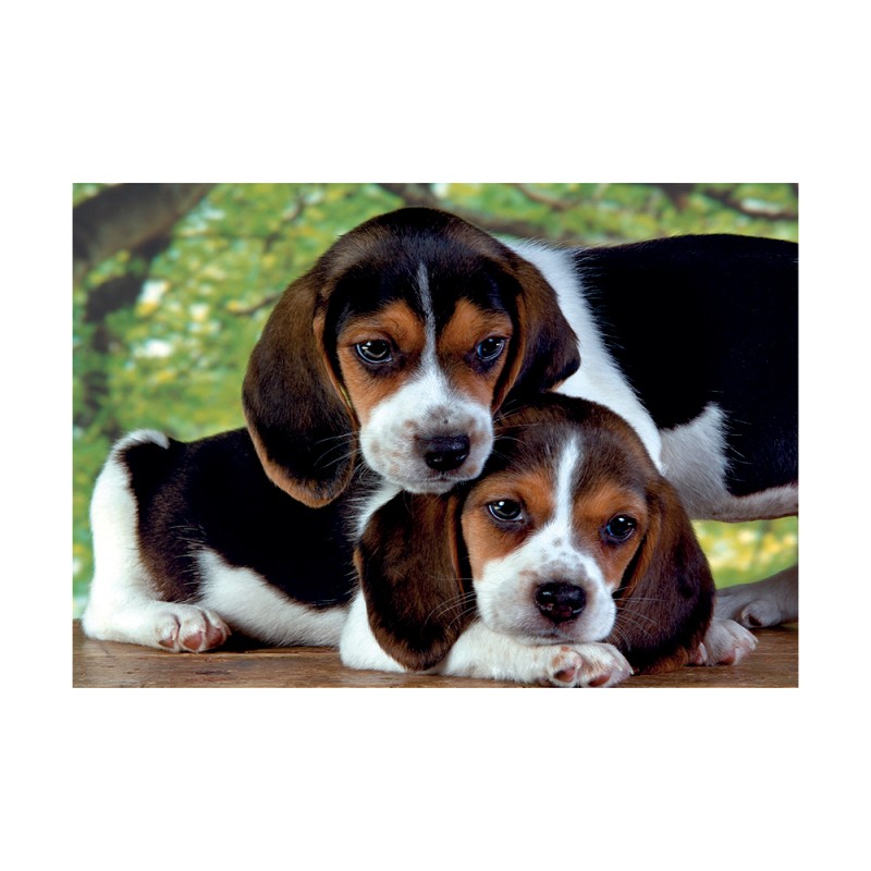 Clementoni Παζλ High Quality Collection Σκυλάκια 500 τμχ - Compact Box