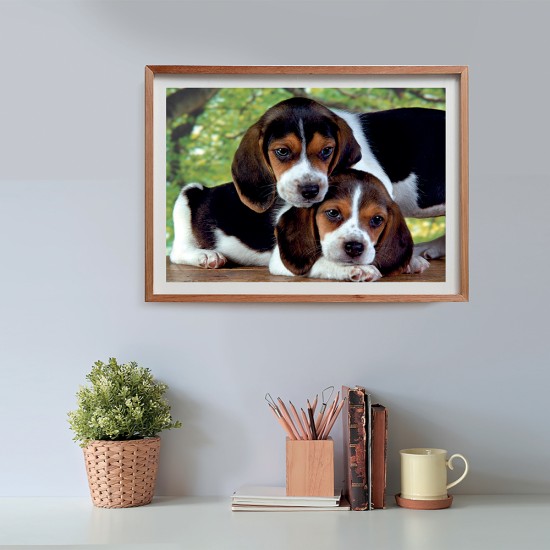 Clementoni Παζλ High Quality Collection Σκυλάκια 500 τμχ - Compact Box Clementoni Παζλ High Quality Collection Σκυλάκια 500 τμχ - Compact Box