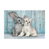 Clementoni Παζλ High Quality Collection Cat And Bunny 500 τμχ - Compact Box