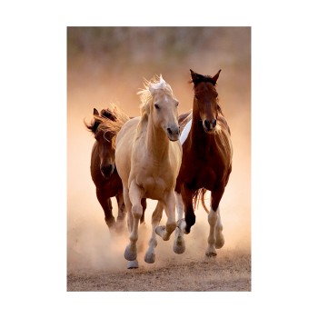 Clementoni Παζλ High Quality Collection Άλογα 1000 τμχ - Compact Box