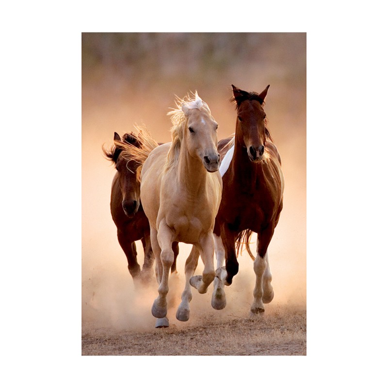 Clementoni Παζλ High Quality Collection Άλογα 1000 τμχ - Compact Box