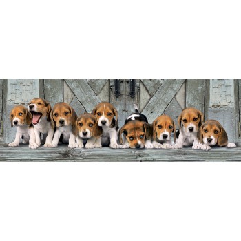 Clementoni Παζλ Panorama High Quality Collection Σκυλάκια Beagles 1000 τμχ - Compact Box