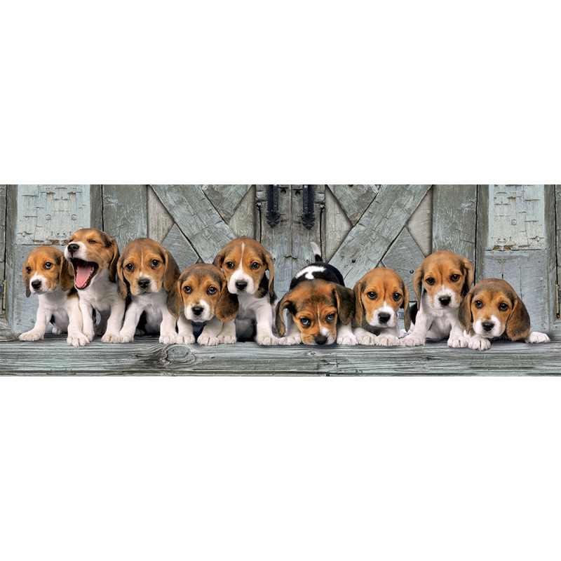 Clementoni Παζλ Panorama High Quality Collection Σκυλάκια Beagles 1000 τμχ - Compact Box
