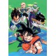 Clementoni Παζλ High Quality Collection Dragon Ball Z 1000 τμχ - Compact Box