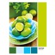 Clementoni Παζλ Pantone Πράσινα Lime 1000 τμχ Clementoni Παζλ Pantone Πράσινα Lime 1000 τμχ