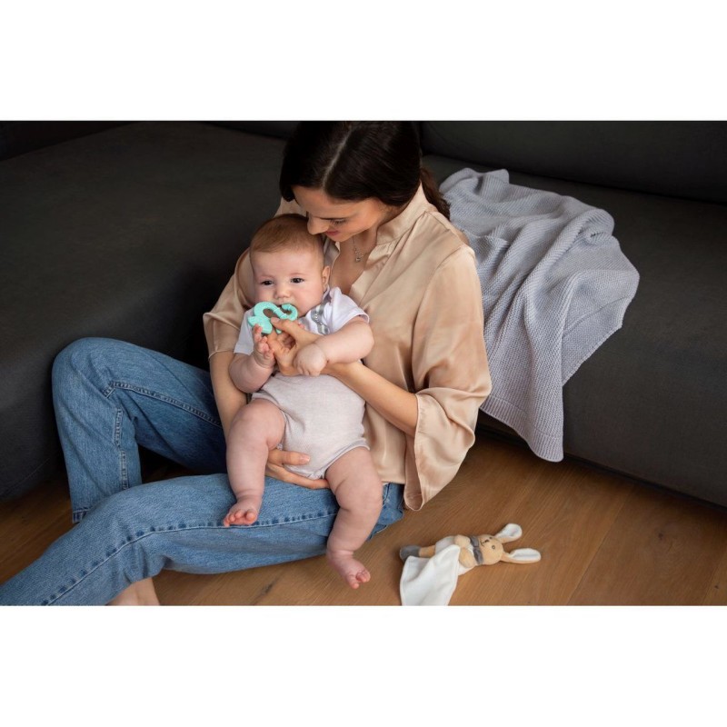 Chicco Βρεφικός Μασητικός Κρίκος Οδοντοφυΐας Σιλικόνης Ροζ Για 2+ Μηνών