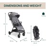 Chicco Καρότσι Urbino Grayness