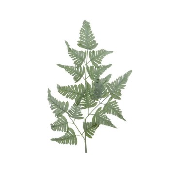 Beauty Home ΦΤΕΡΗ 38x116cm